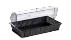 mini0ec77354-d035-4dda-923e-8fdeae493dd8